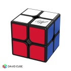 GuoGuan XingHen TSM Cube 2x2